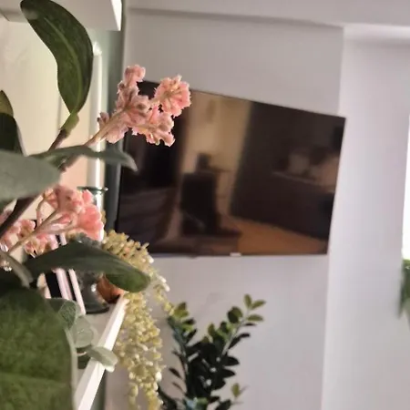 Neyses - Kylltalperle Kordel