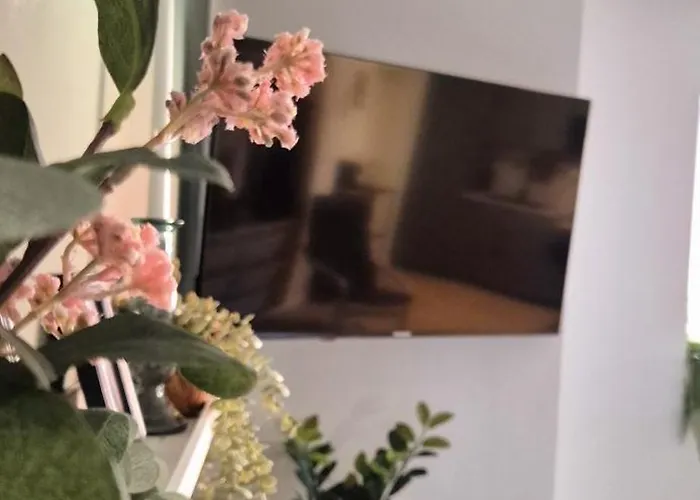 Neyses - Kylltalperle Kordel